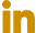 linkedin-icn