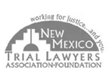 trial-lawyer-award-image